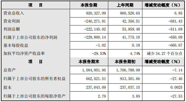 大洋電機(jī)2018年度主要財(cái)務(wù)數(shù)據(jù)和指標(biāo)（單位：萬元）