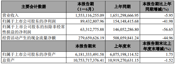 寶泰隆上半年業(yè)績（單位：元）