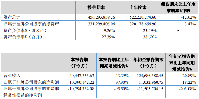 天豐電源主要財(cái)務(wù)數(shù)據(jù)