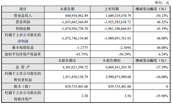 珈偉新能