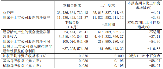 杉杉股份2020半年度報(bào)告主要財(cái)務(wù)數(shù)據(jù).png