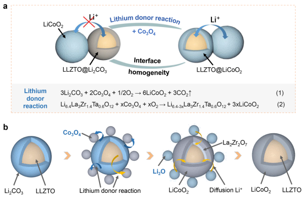 （a）鋰供體反應(yīng)技術(shù)示意圖；（b）LLZTO表面Li2CO3向LiCoO2轉(zhuǎn)化過程示意圖