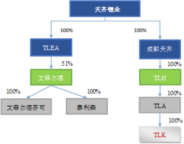 本次交易前，TLEA及相關(guān)標(biāo)的的主要股權(quán)結(jié)構(gòu)