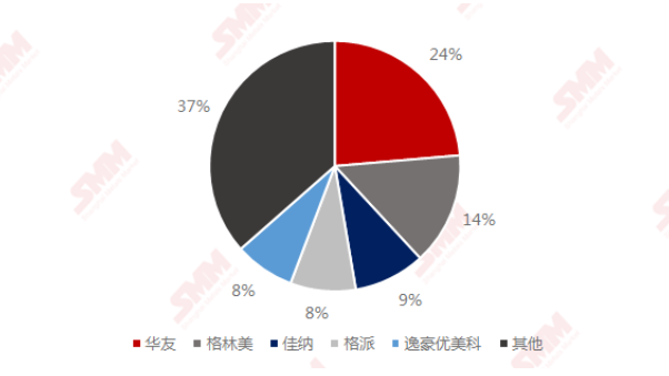 2020年中國硫酸鈷TOP5生產(chǎn)商市占率