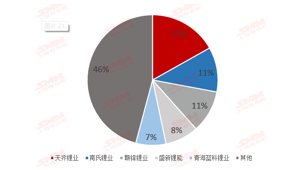 2020年中國碳酸鋰生產(chǎn)企業(yè)產(chǎn)量排名情況