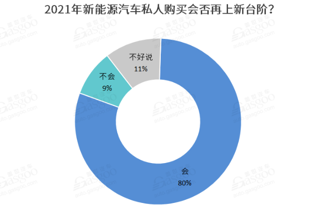 2021新能源車私人消費將繼續(xù)提升 新勢力車企備受期待