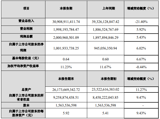 江蘇國泰2020年度主要財(cái)務(wù)數(shù)據(jù)和指標(biāo)