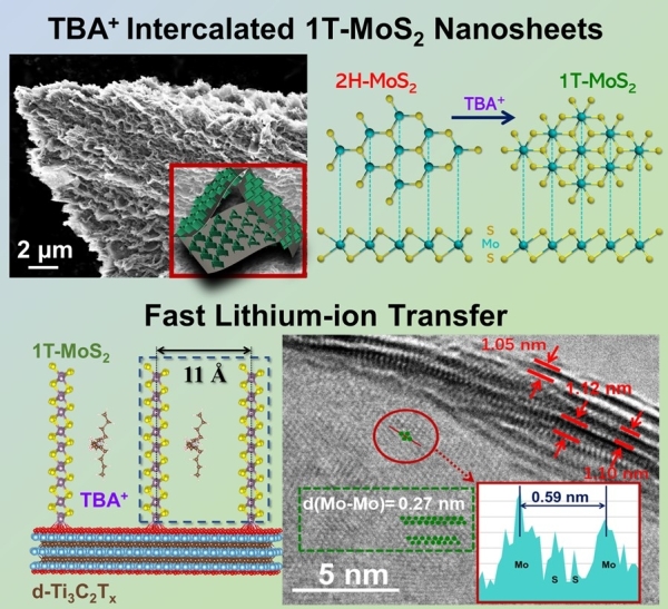 1T-MoS2/d-Ti3C2Tx二維復(fù)合納米材料結(jié)構(gòu)示意圖