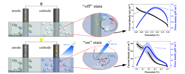 基于碳點(diǎn)和TMB的酶燃料電池光開關(guān)的工作原理示意圖