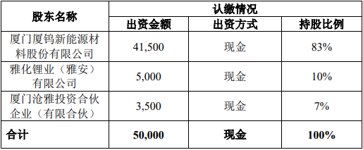 項目公司注冊資本、股權(quán)結(jié)構(gòu)（單位/萬元）