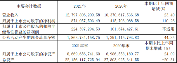 東陽光2021年主要會計數(shù)據(jù)（單位：元）