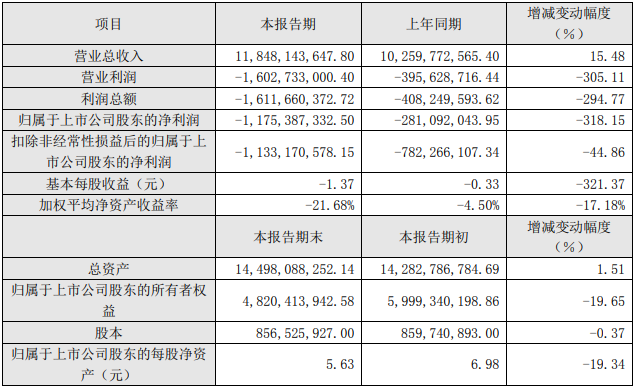 2021年度主要財(cái)務(wù)數(shù)據(jù)和指標(biāo)（單位：元）