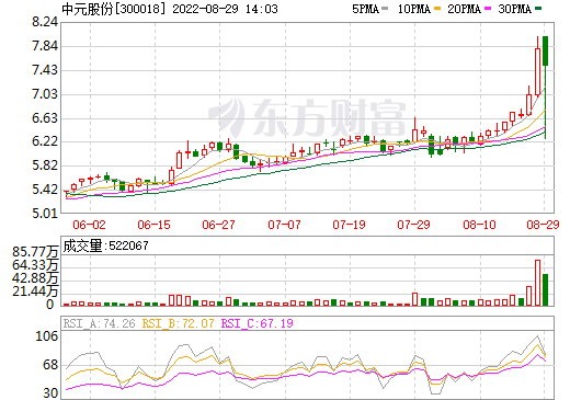 中元股份,負(fù)極材料,新能源