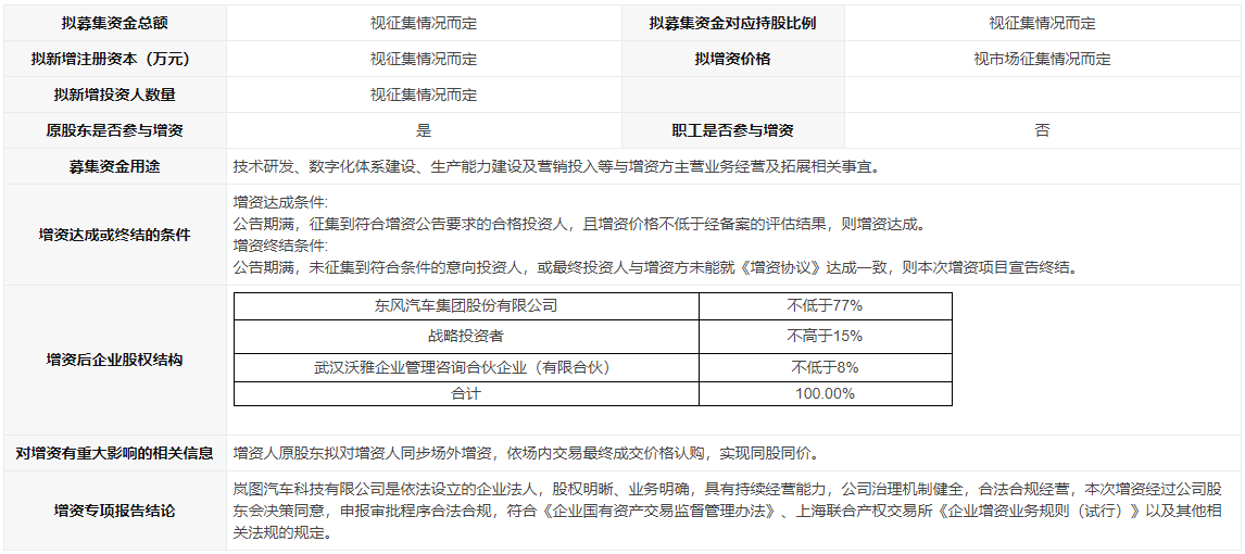 嵐圖汽車增資項目