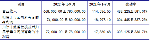 萬(wàn)潤(rùn)新能2022年1-9月主要財(cái)務(wù)數(shù)據(jù)（單位：萬(wàn)元）