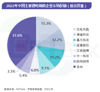 2022年中國(guó)主要鋰電銅箔企業(yè)市場(chǎng)份額