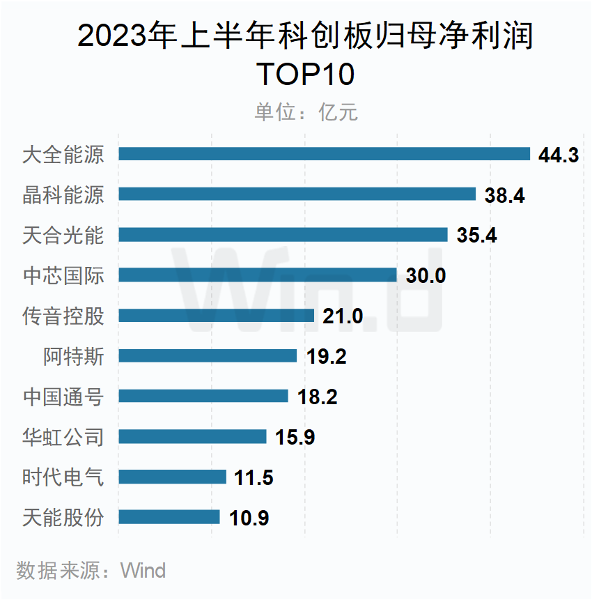 2023年上半年科創(chuàng)板歸母凈利潤TOP10企業(yè)