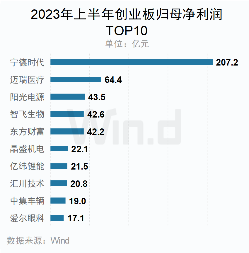 2023年上半年創(chuàng)業(yè)板歸母凈利潤TOP10企業(yè)