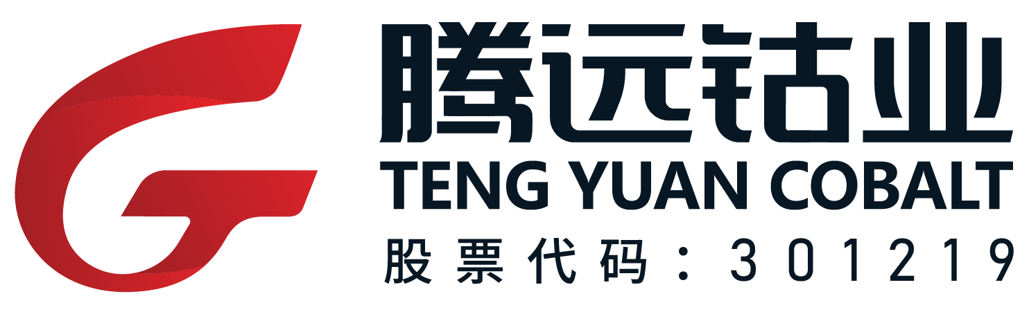 第13屆（2023年）中國電池行業(yè)優(yōu)秀供應(yīng)商：騰遠鈷業(yè)