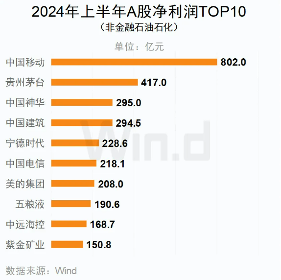 2024年上半年A股凈利潤(rùn)TOP10（非金融石油石化）