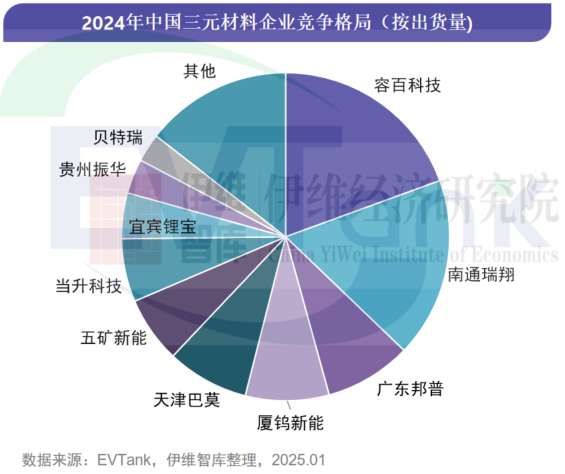 中國(guó)鋰離子電池正極材料行業(yè)發(fā)展白皮書（2025年）